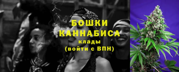 индика Горняк