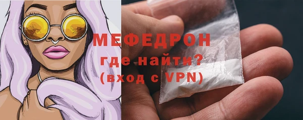 индика Горняк
