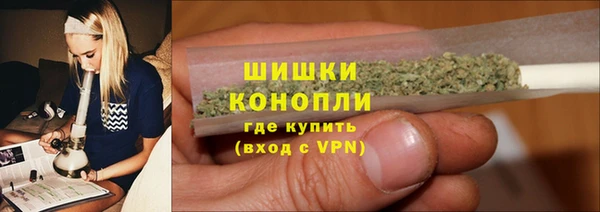 индика Горняк