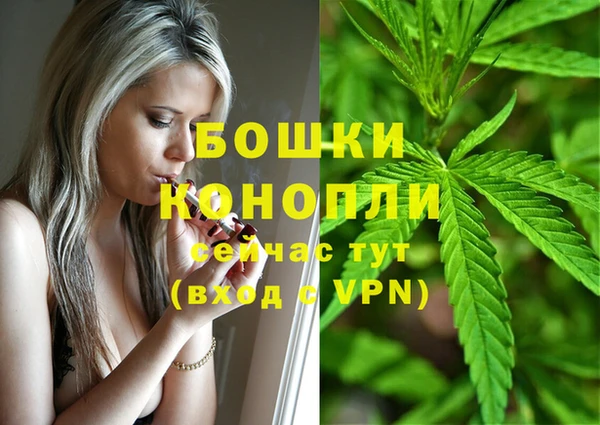 индика Горняк