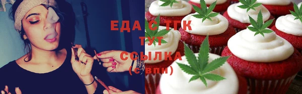 индика Горняк