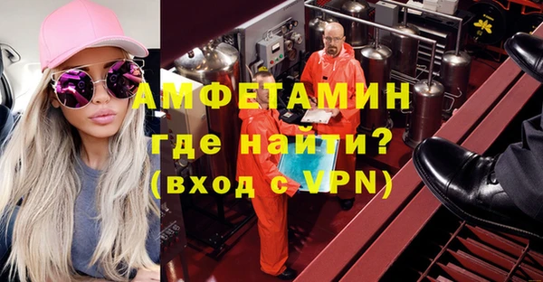 индика Горняк