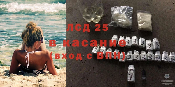 индика Горняк