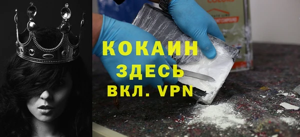 индика Горняк